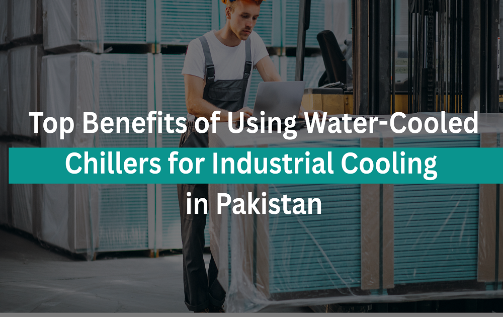 Why Content Marketing Is Still the King of Digital Growth