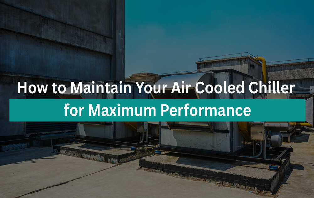 Why Content Marketing Is Still the King of Digital Growth(1)